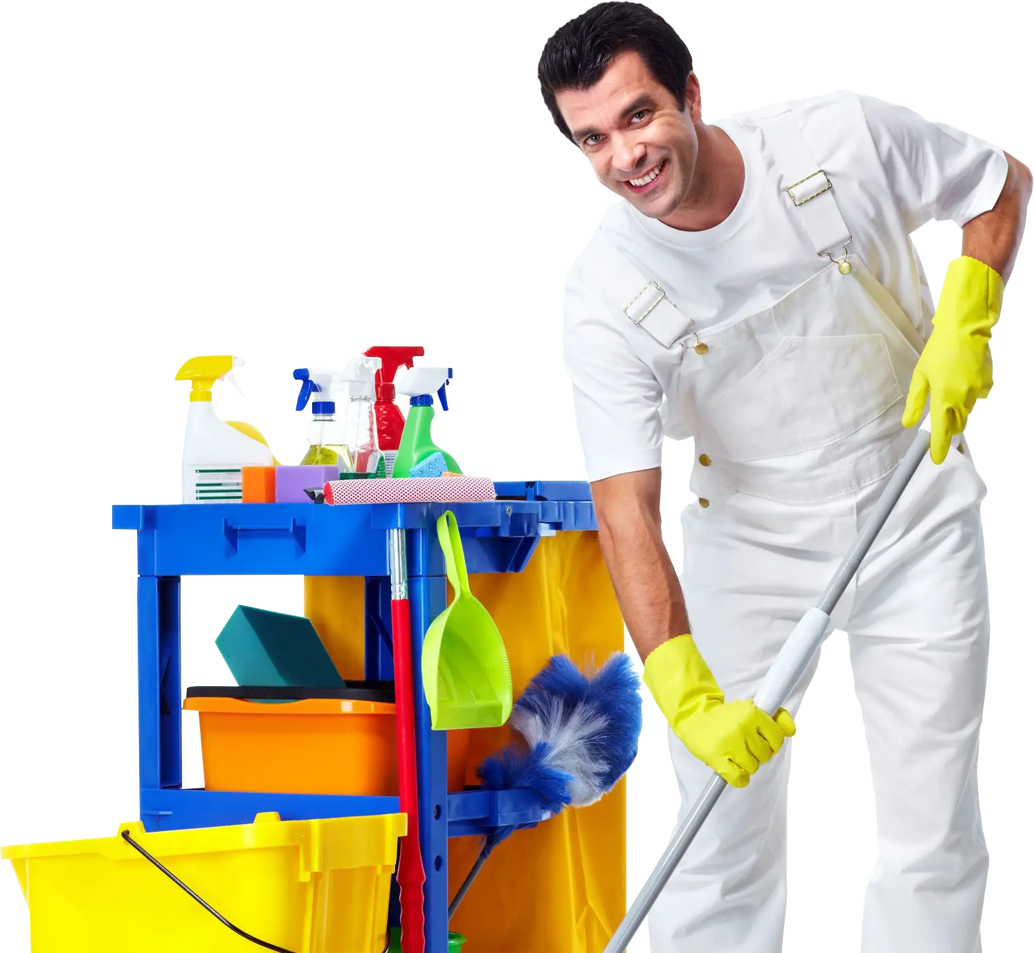 Professional Cleaning Services