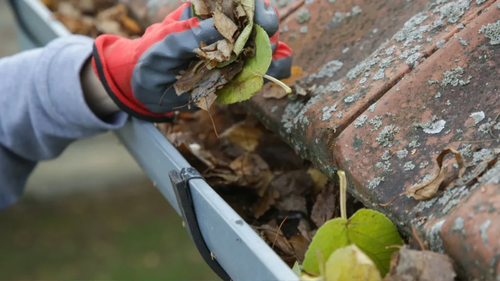 Seasonal Cleaning Tips