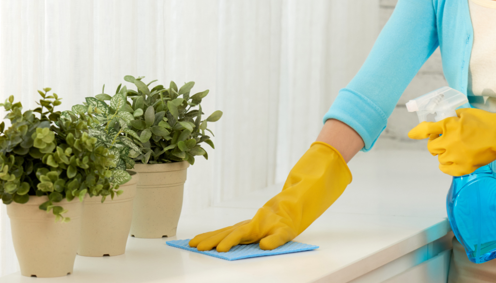 Home Dust-Free