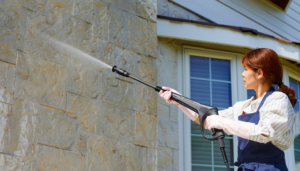 Monsoon Cleaning