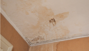 Water Stains on Walls and Ceilings